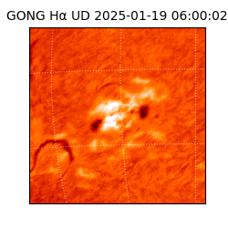 gong - 2025-01-19T06:00:02