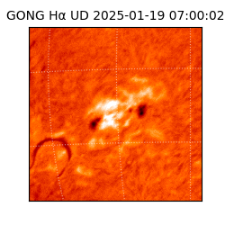 gong - 2025-01-19T07:00:02
