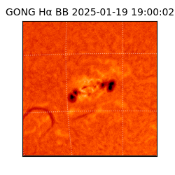 gong - 2025-01-19T19:00:02
