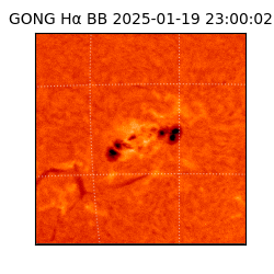 gong - 2025-01-19T23:00:02
