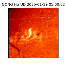 gong - 2025-01-19T05:00:02