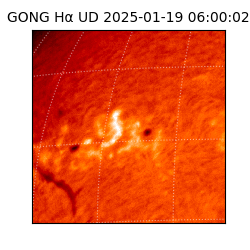 gong - 2025-01-19T06:00:02