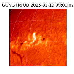 gong - 2025-01-19T09:00:02