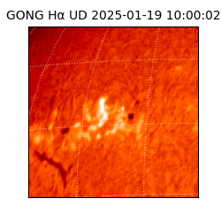 gong - 2025-01-19T10:00:02