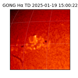 gong - 2025-01-19T15:00:22