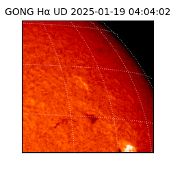 gong - 2025-01-19T04:04:02