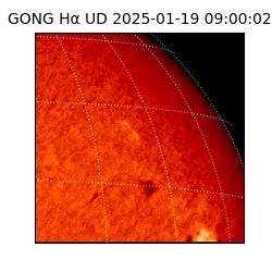 gong - 2025-01-19T09:00:02