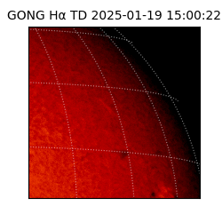 gong - 2025-01-19T15:00:22