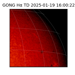 gong - 2025-01-19T16:00:22