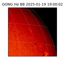 gong - 2025-01-19T19:00:02