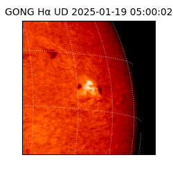 gong - 2025-01-19T05:00:02