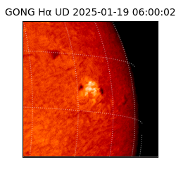 gong - 2025-01-19T06:00:02