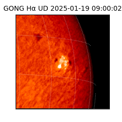 gong - 2025-01-19T09:00:02