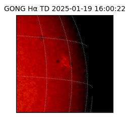 gong - 2025-01-19T16:00:22