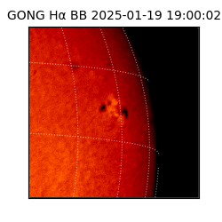 gong - 2025-01-19T19:00:02