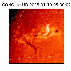 gong - 2025-01-19T05:00:02