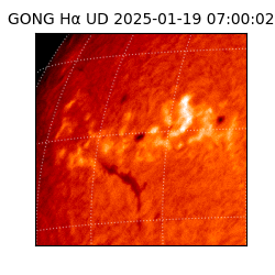 gong - 2025-01-19T07:00:02