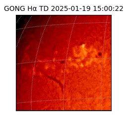 gong - 2025-01-19T15:00:22