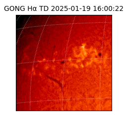 gong - 2025-01-19T16:00:22