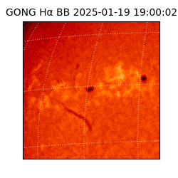 gong - 2025-01-19T19:00:02