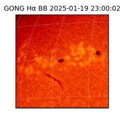 gong - 2025-01-19T23:00:02