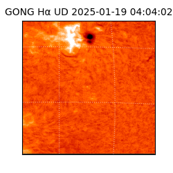 gong - 2025-01-19T04:04:02