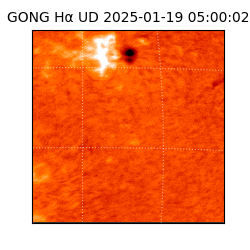 gong - 2025-01-19T05:00:02