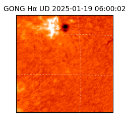 gong - 2025-01-19T06:00:02