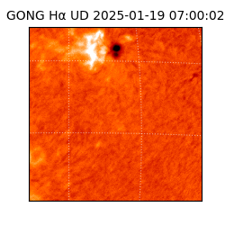 gong - 2025-01-19T07:00:02
