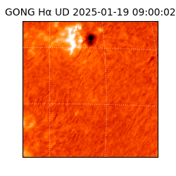 gong - 2025-01-19T09:00:02