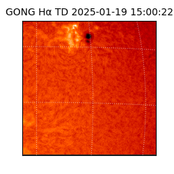 gong - 2025-01-19T15:00:22