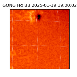 gong - 2025-01-19T19:00:02