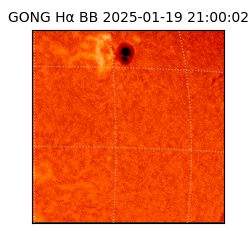 gong - 2025-01-19T21:00:02