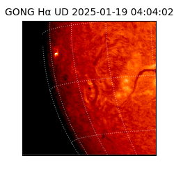 gong - 2025-01-19T04:04:02
