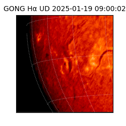 gong - 2025-01-19T09:00:02