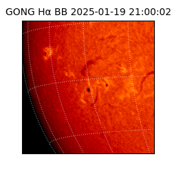 gong - 2025-01-19T21:00:02