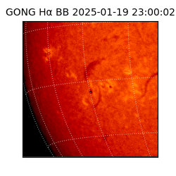 gong - 2025-01-19T23:00:02