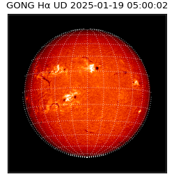 gong - 2025-01-19T05:00:02
