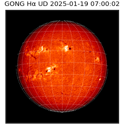 gong - 2025-01-19T07:00:02