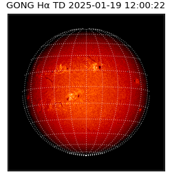 gong - 2025-01-19T12:00:22