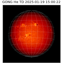 gong - 2025-01-19T15:00:22