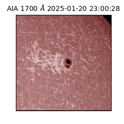 saia - 2025-01-20T23:00:28.717000