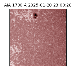 saia - 2025-01-20T23:00:28.717000