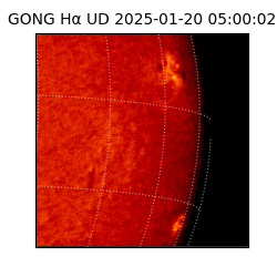 gong - 2025-01-20T05:00:02