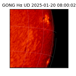 gong - 2025-01-20T08:00:02