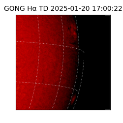 gong - 2025-01-20T17:00:22