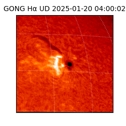 gong - 2025-01-20T04:00:02