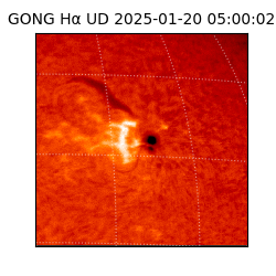 gong - 2025-01-20T05:00:02