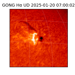 gong - 2025-01-20T07:00:02