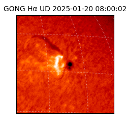 gong - 2025-01-20T08:00:02